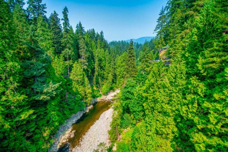 Capilano Bridge Park on a sunny summer day in Vancouver BC Canada
