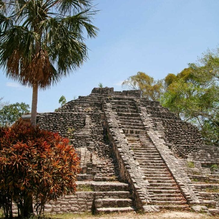 Chacchoben Mayan ruins seen on a tour from Costa Maya Mexico
