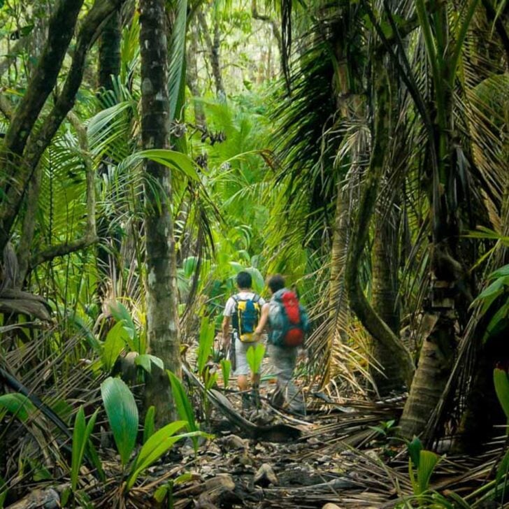 Two-hikers-walk-through-thick-jungle-in-Tambopata Peru from Puerto Maldonado