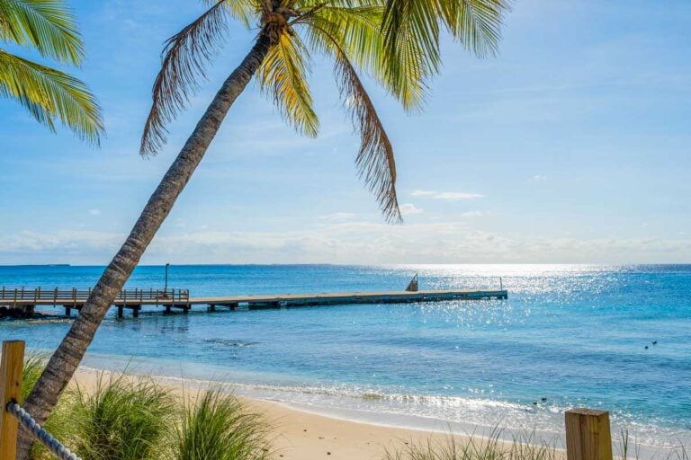 A beach seen on Turks and Caicos