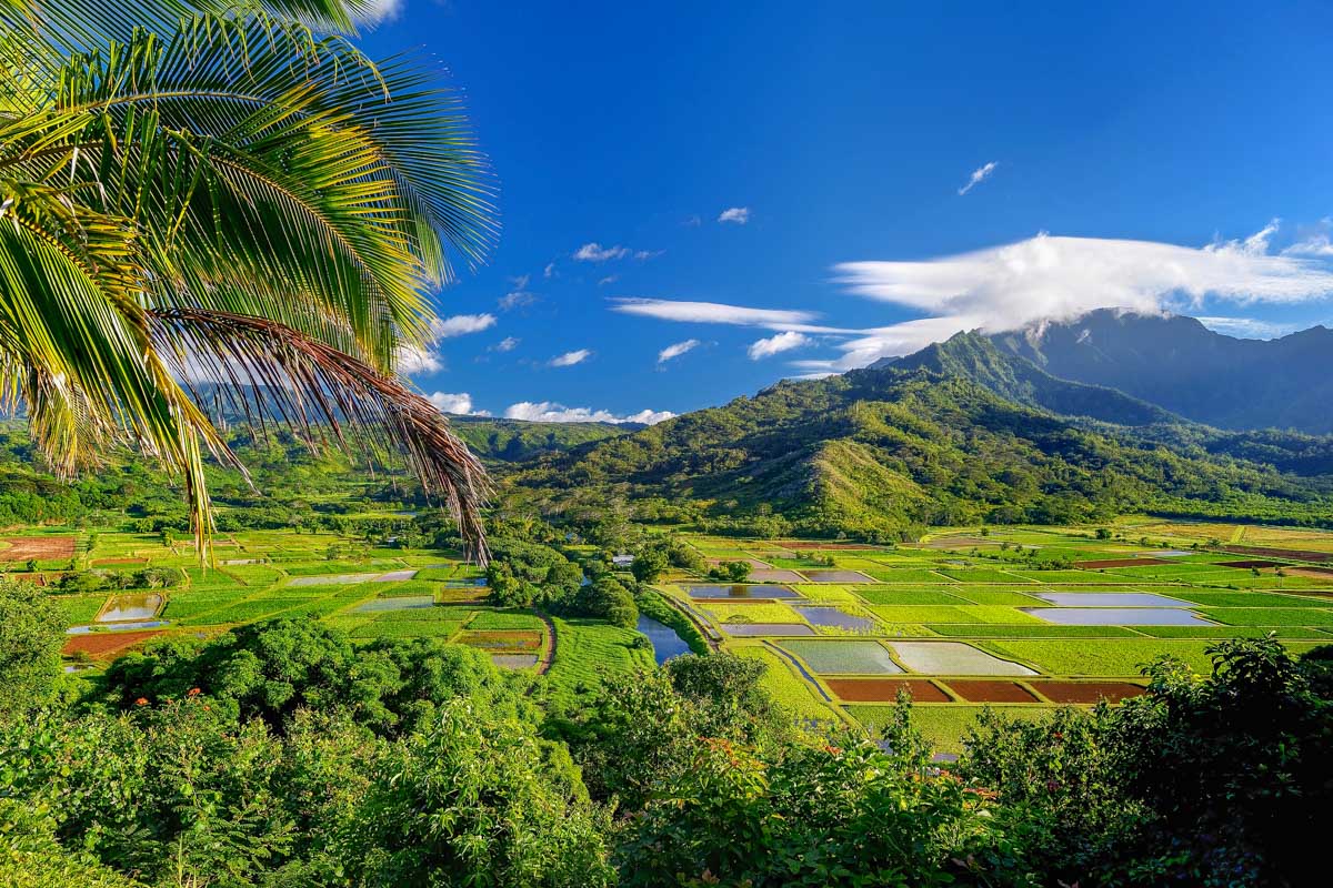 10 Best Things to do in Kauai, Hawaii
