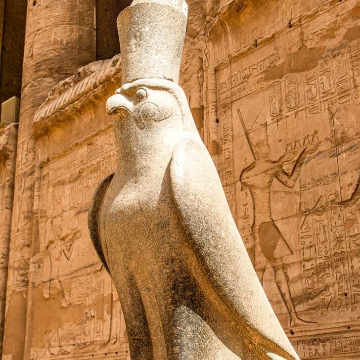 The-god-hawk-Horus-at-Edfu-Temple-on-a-cruise-to-Luxor-Egypt from Aswan
