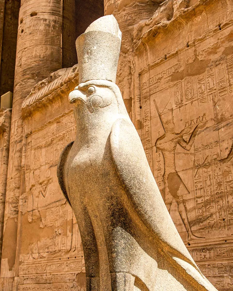 The-god-hawk-Horus-at-Edfu-Temple-on-a-cruise-to-Luxor-Egypt from Aswan