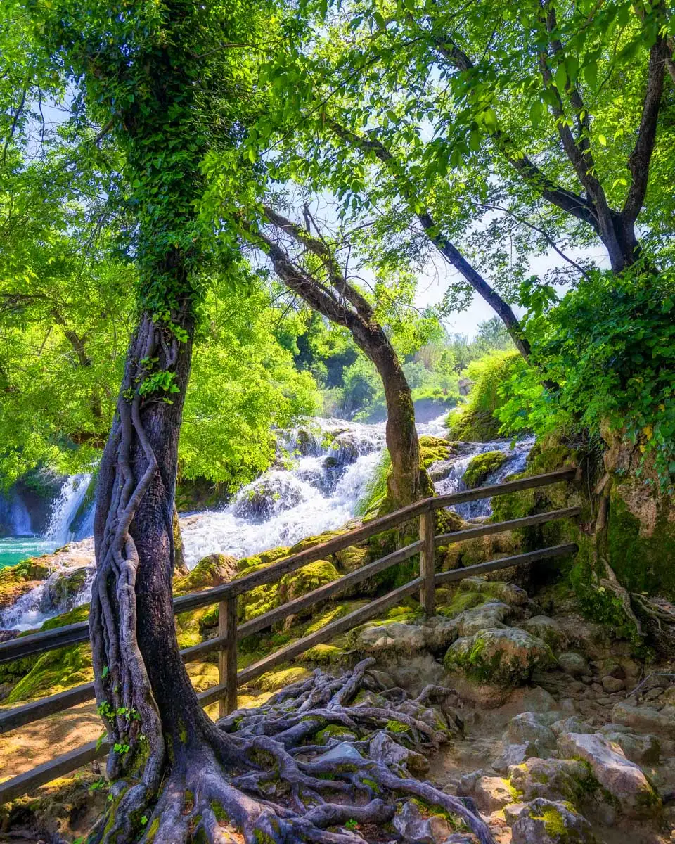 A path and waterfall in the background at Krka National Park seen on a tour from Zadar Croatia