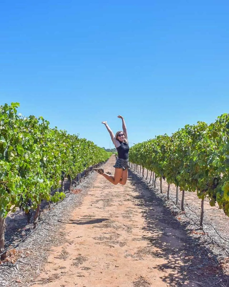 Bailey-jumps-up-in-the-air-between-two-vines-on-a-winery-tour-from-Rhodes Greece