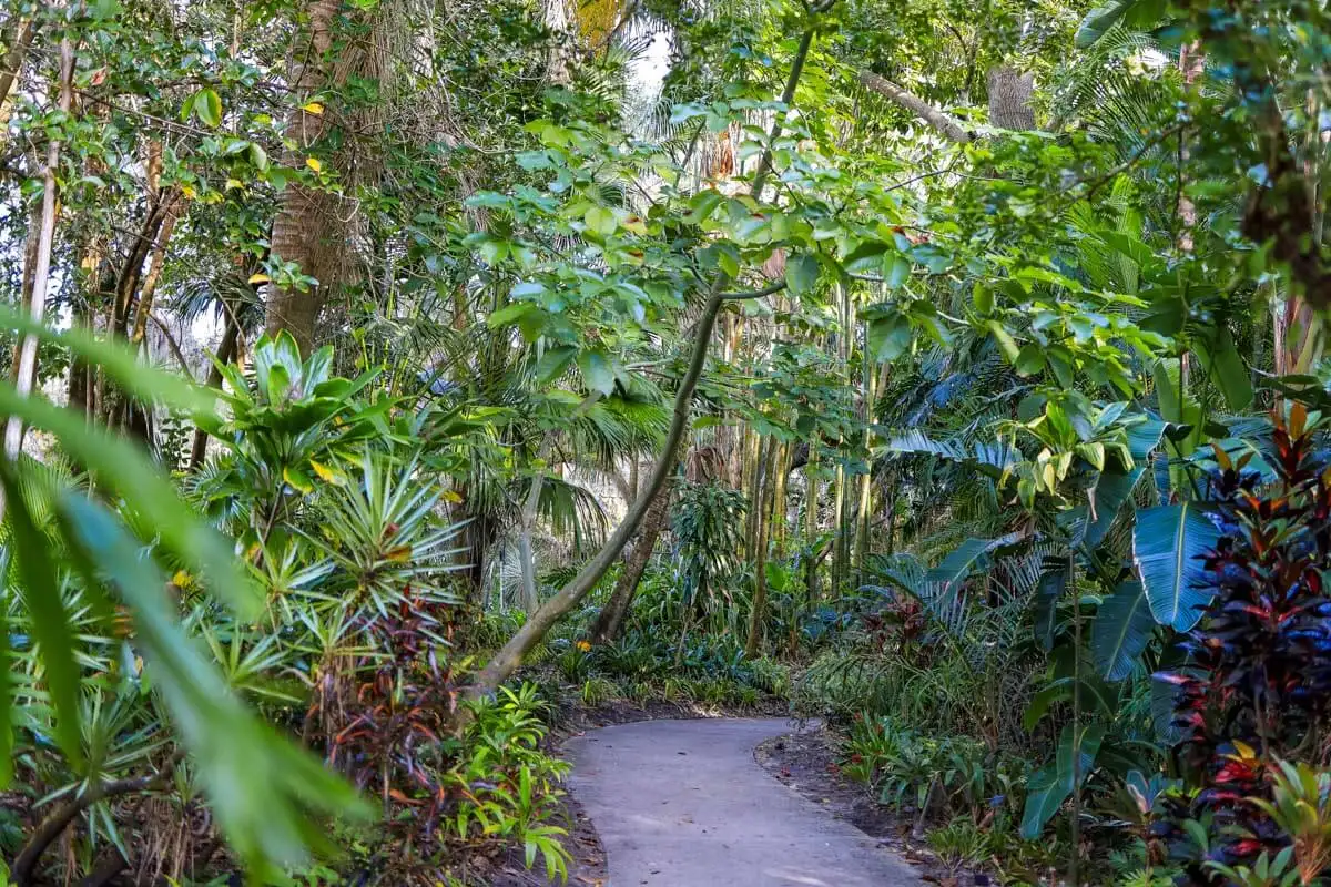 Harry P Leu Gardens in Orlando Florida
