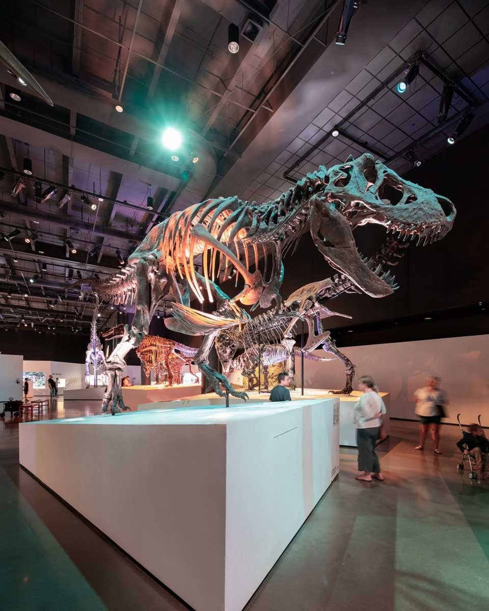 Houston Museum of Natural Science﻿ in Houston Texas