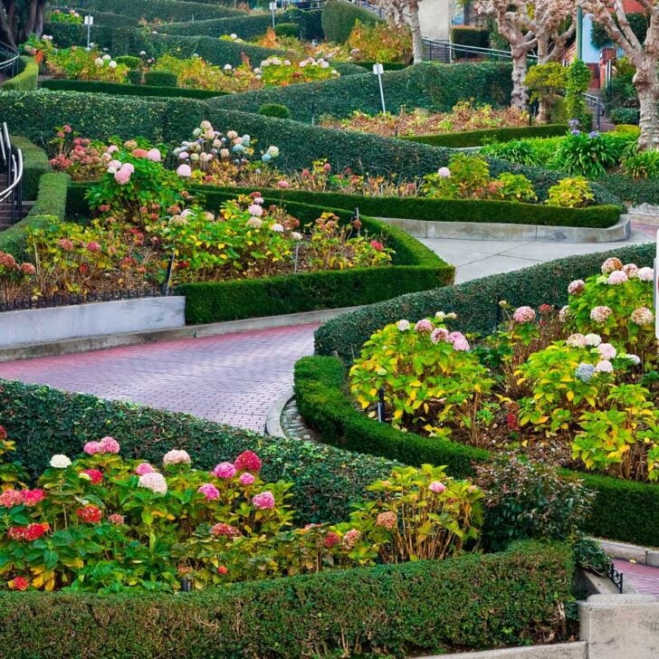 Lombard Street seen on a tour in San Francisco