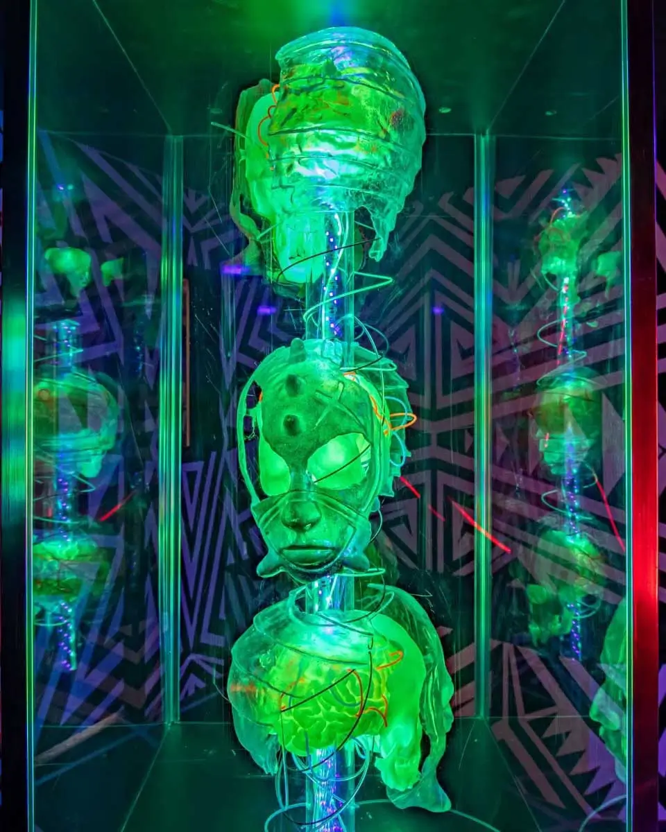 Meow Wolf Santa Fe﻿ in Santa Fe, New Mexico (2)