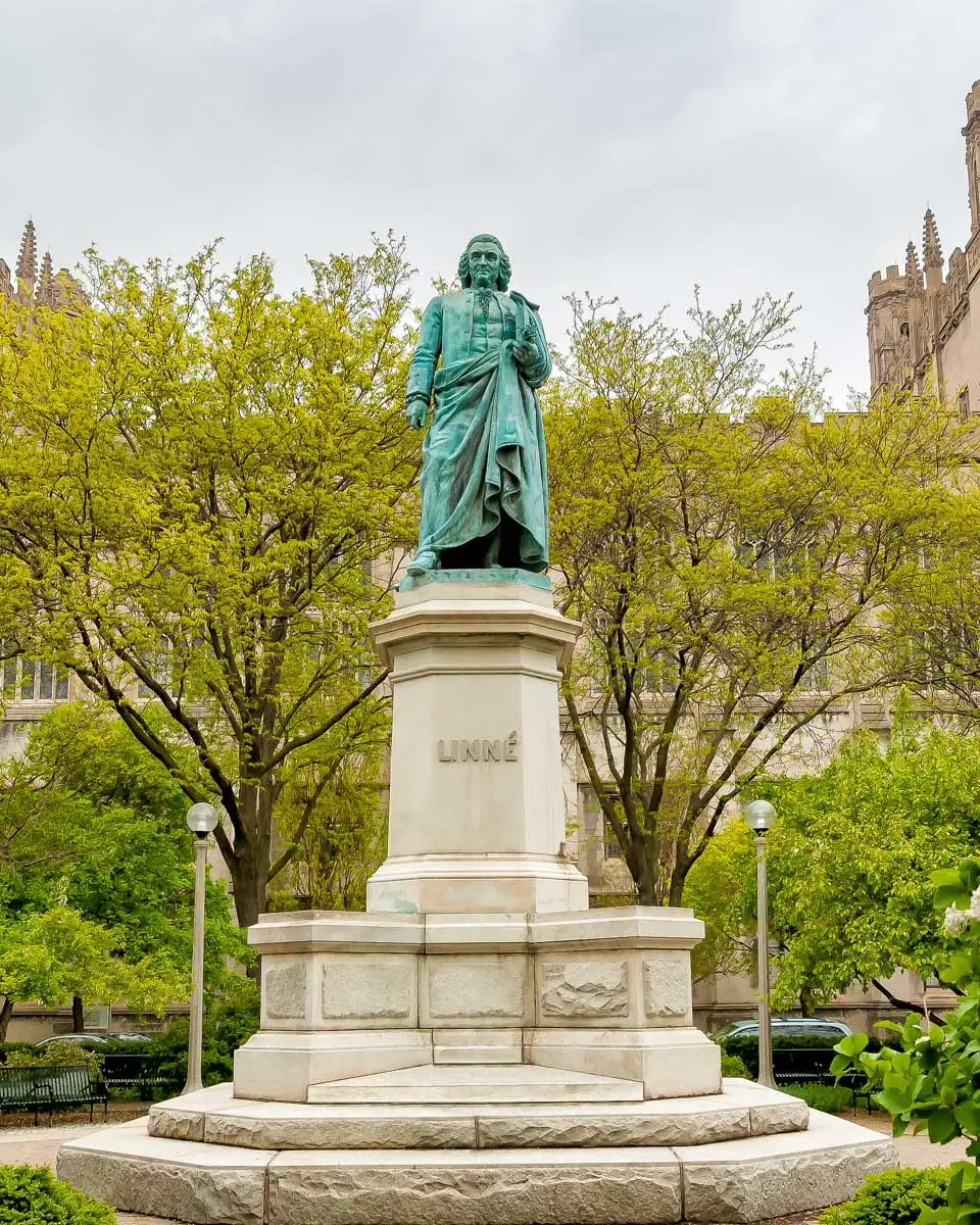Monument to Carl Linnaeus in the Hyde Park in Chicago Illinois