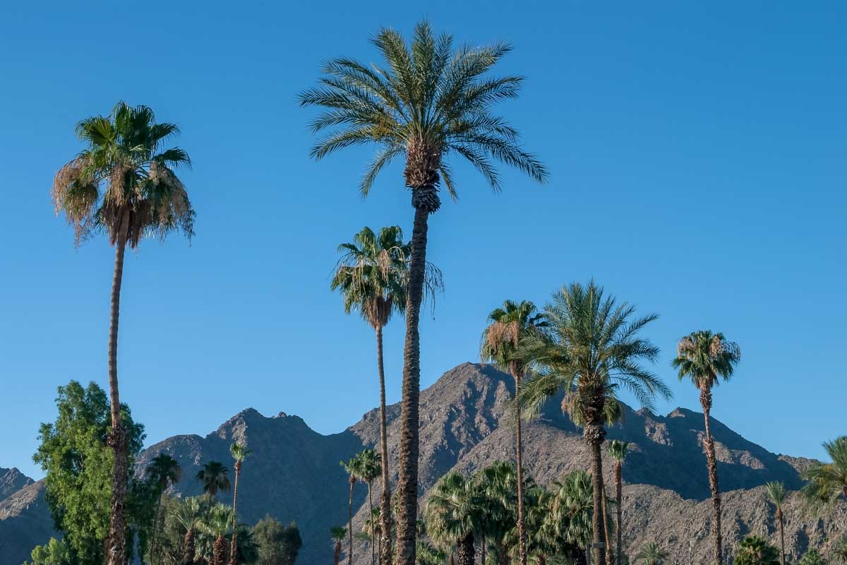 9 Best Things to do in Palm Springs, California