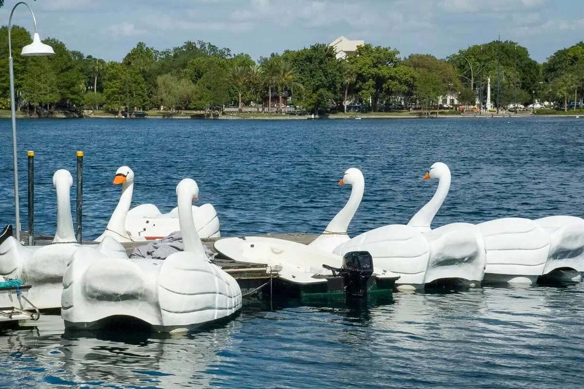 Swan Boats at Lake Eola Park in Orlando Florida