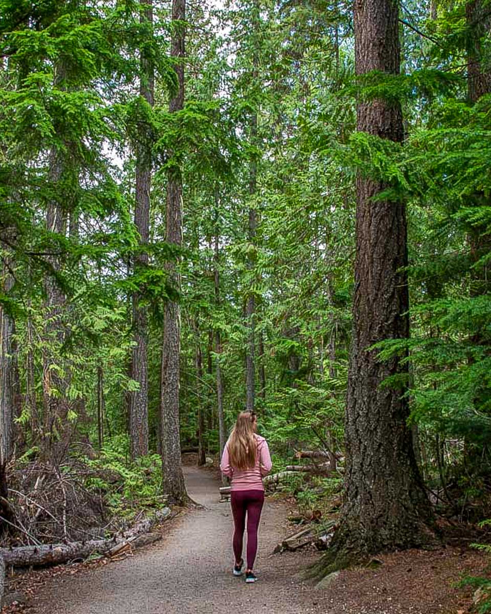 Bailey hikes through the forest on a tour of Jacques-Cartier National Park from Quebec City Quebec