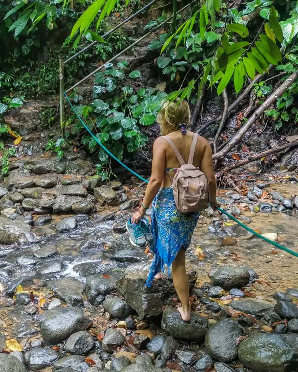Bailey-walks-on-a-on-the-way-to-a-waterfall-in-Maui Hawaii