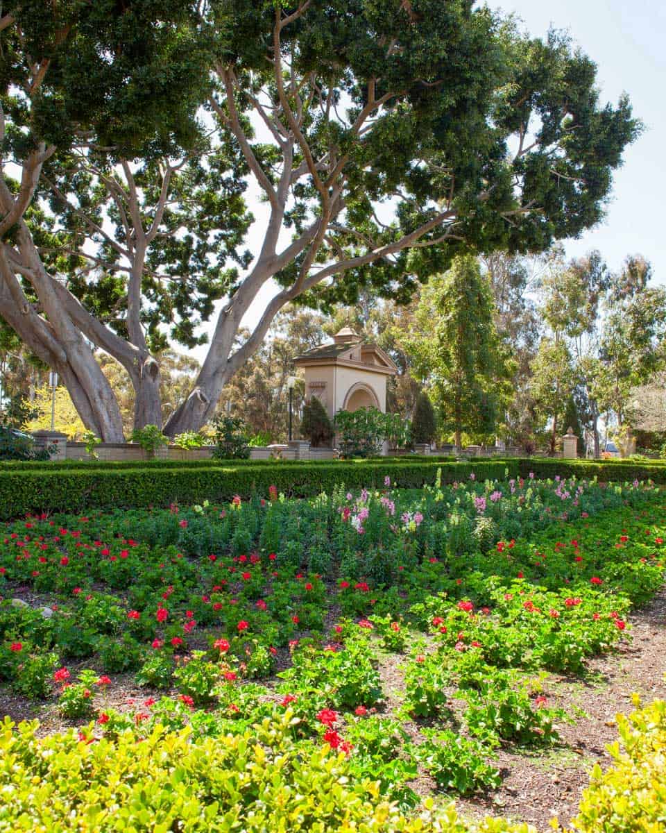Balboa park in San Diego California