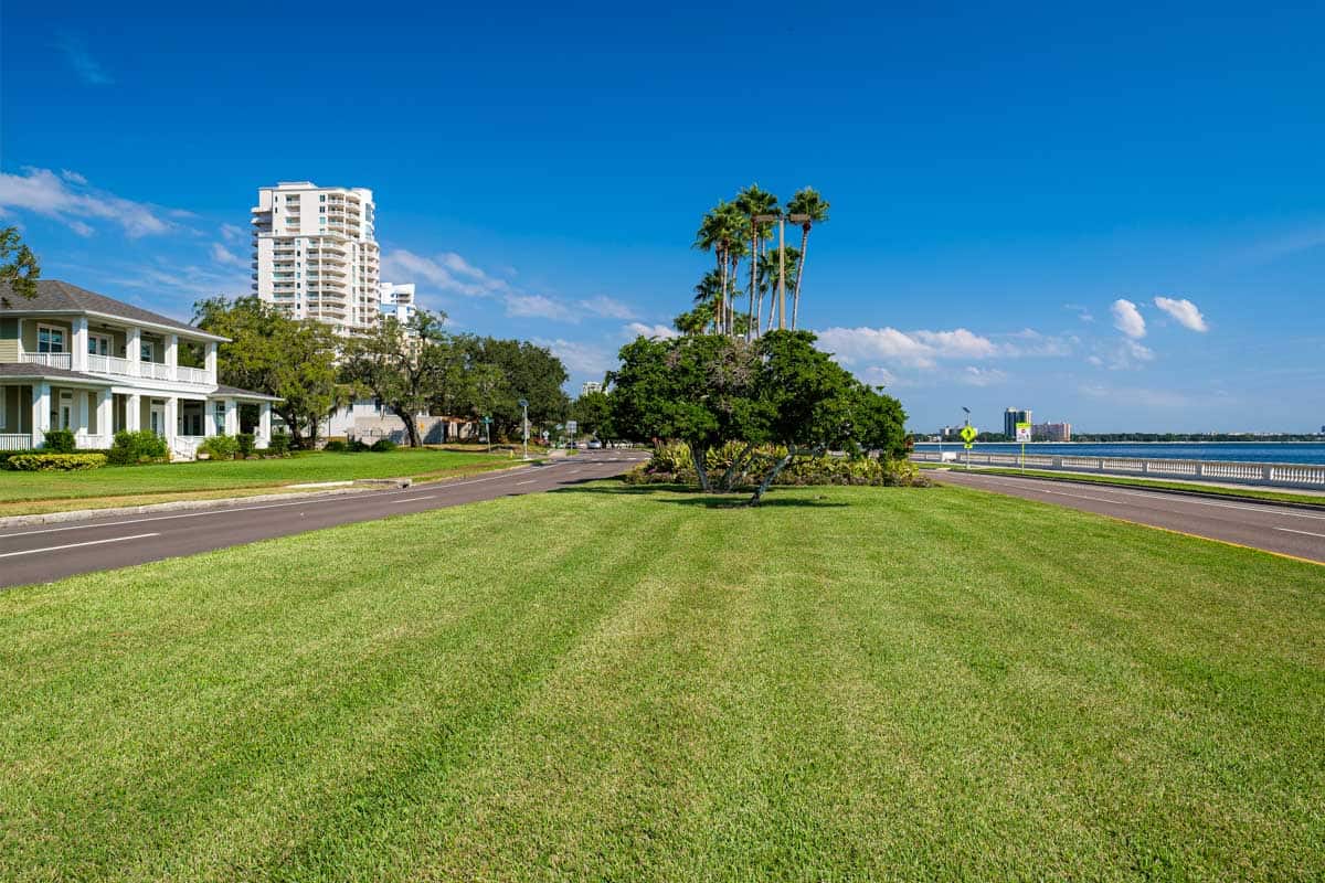 Bayshore Boulevard in Tampa Florida
