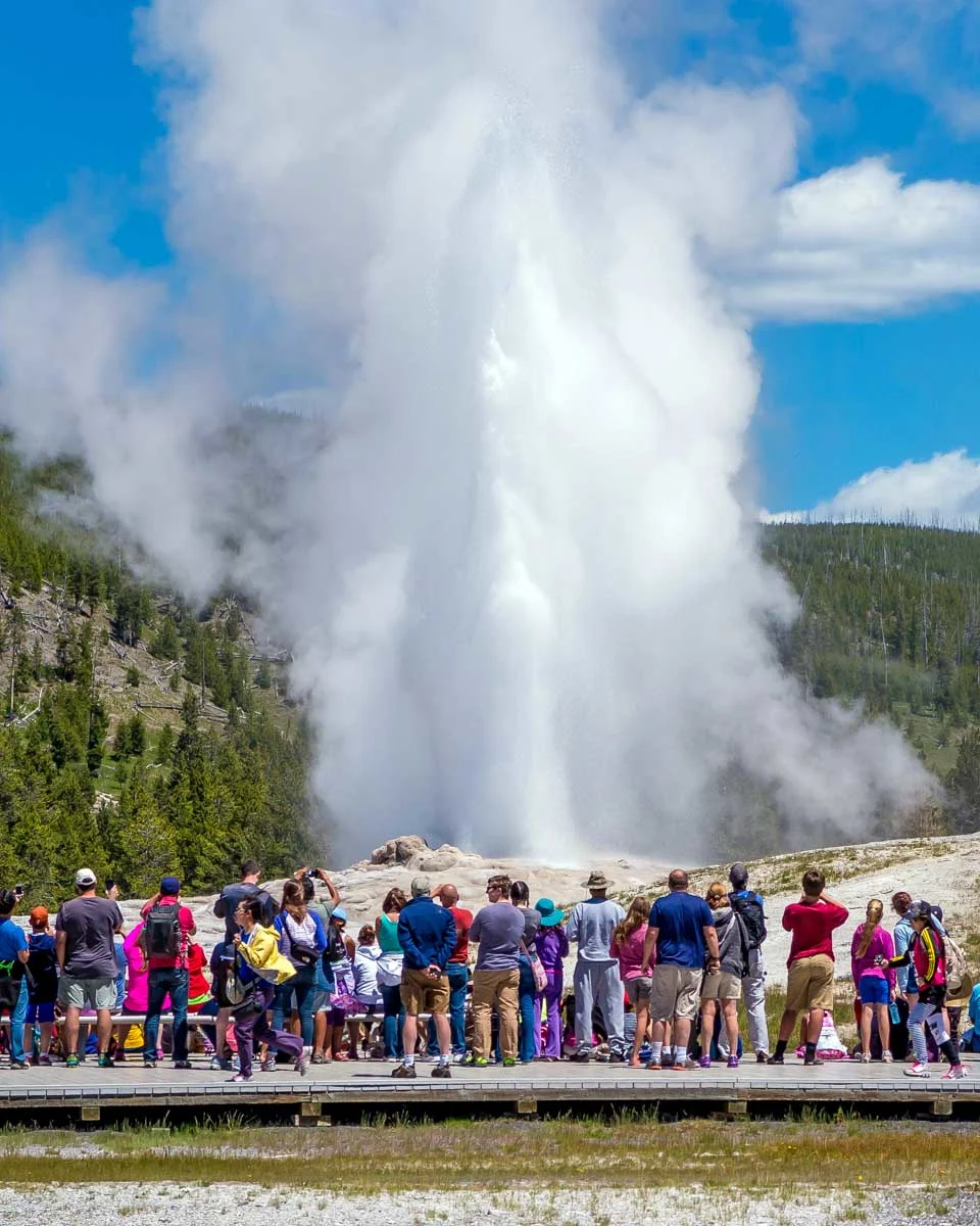 Old Faithful seen on a tour to Yellowstone National Park from Jackson Hole Wyoming