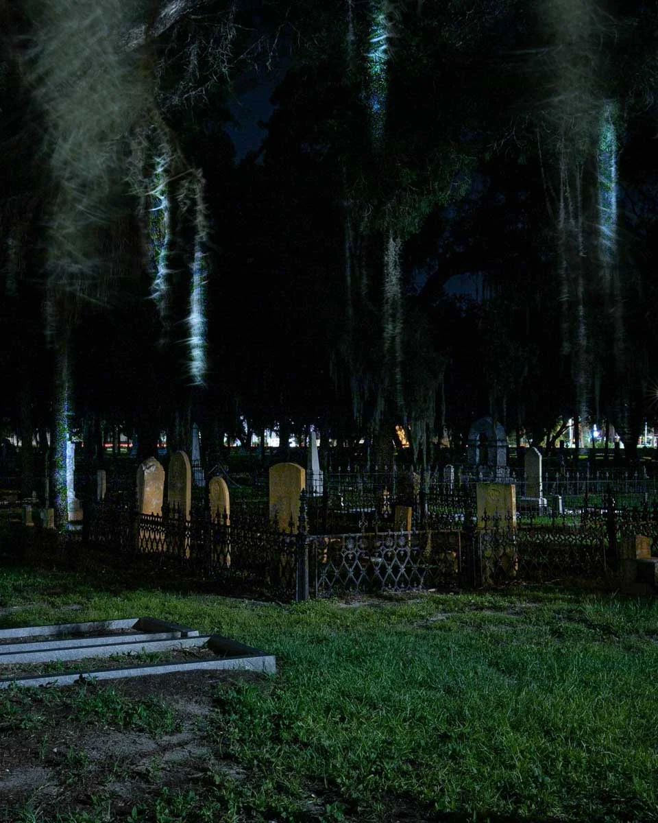 Tampa Terrors in Tampa Florida