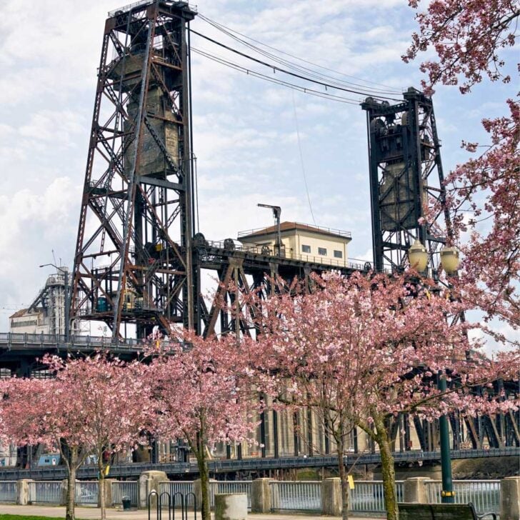 The Steel Bridge in Portland Oregon