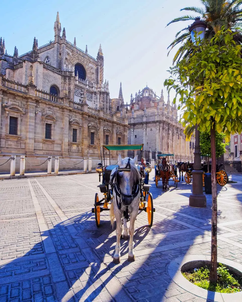 A horse in front of Seville Cathedral in Seville Spain