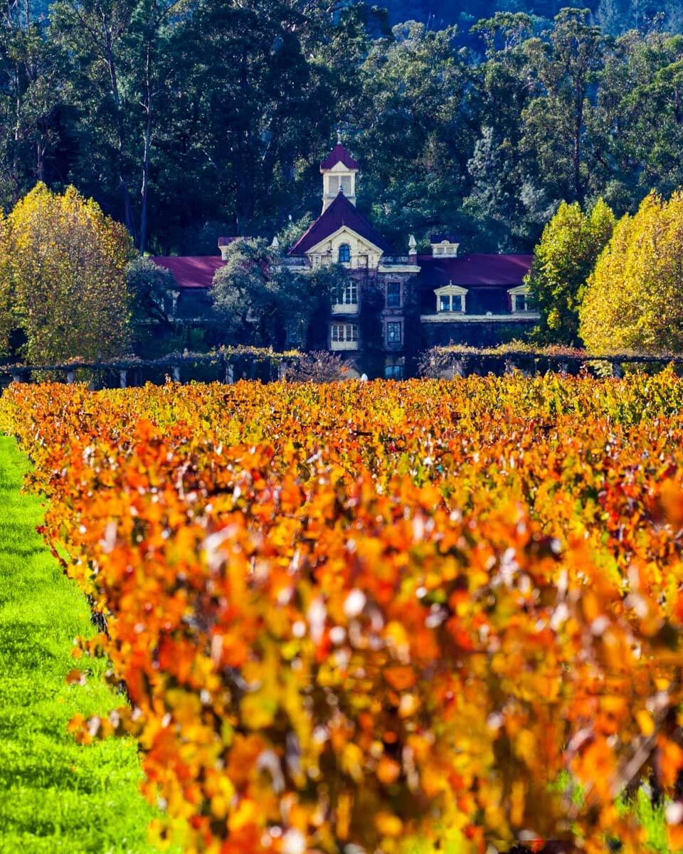 A house in Napa Valley in the fall in Napa California