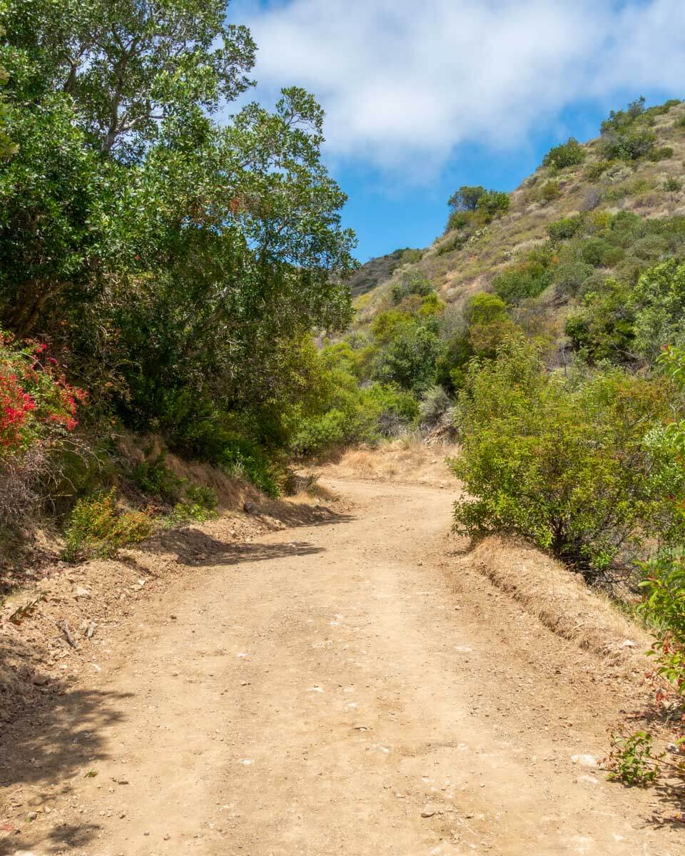A trail on Catalina Island California