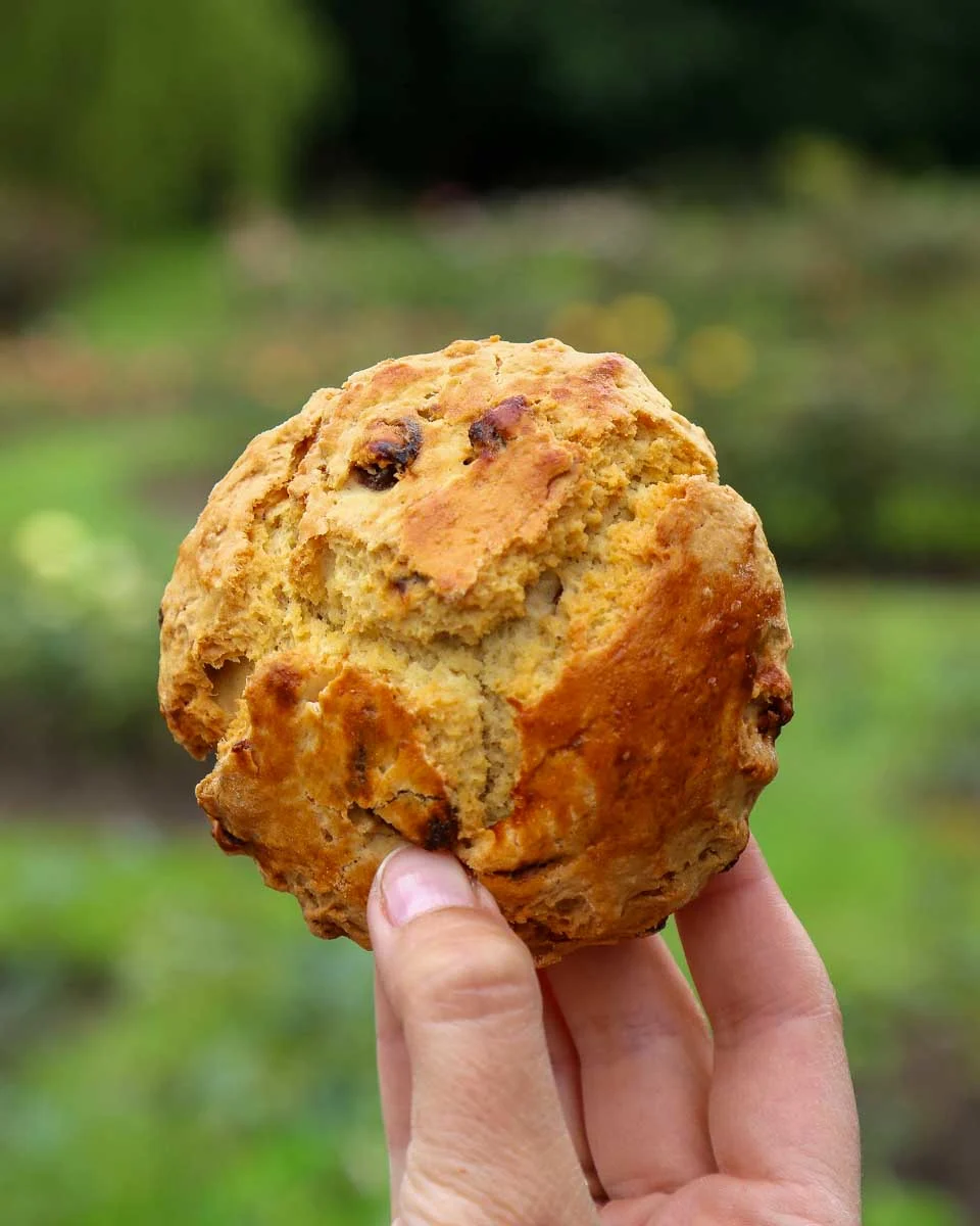 An Irish scone made during a cooking class in Galway Ireland