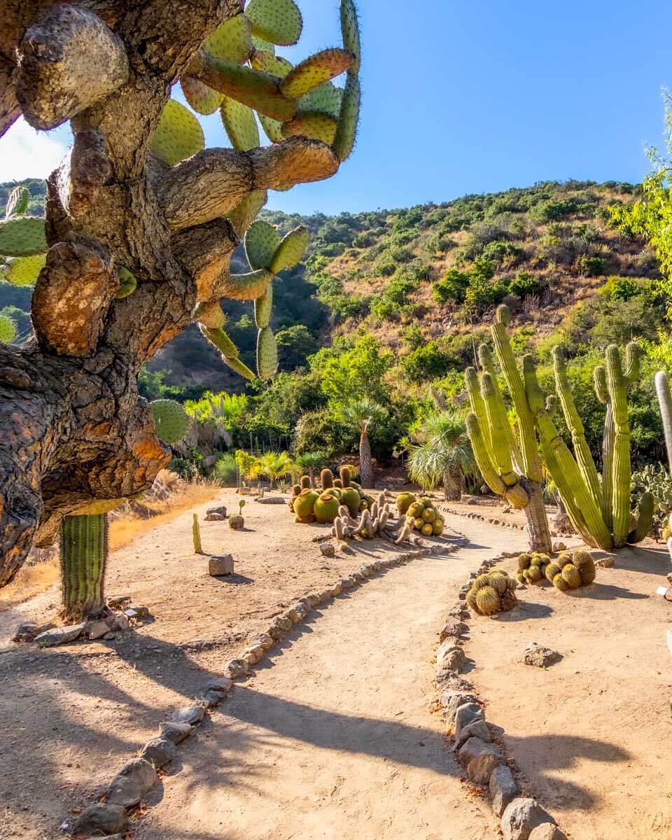 At the Wrigley Botanical Gardens & Memorial on Catalina Island, California