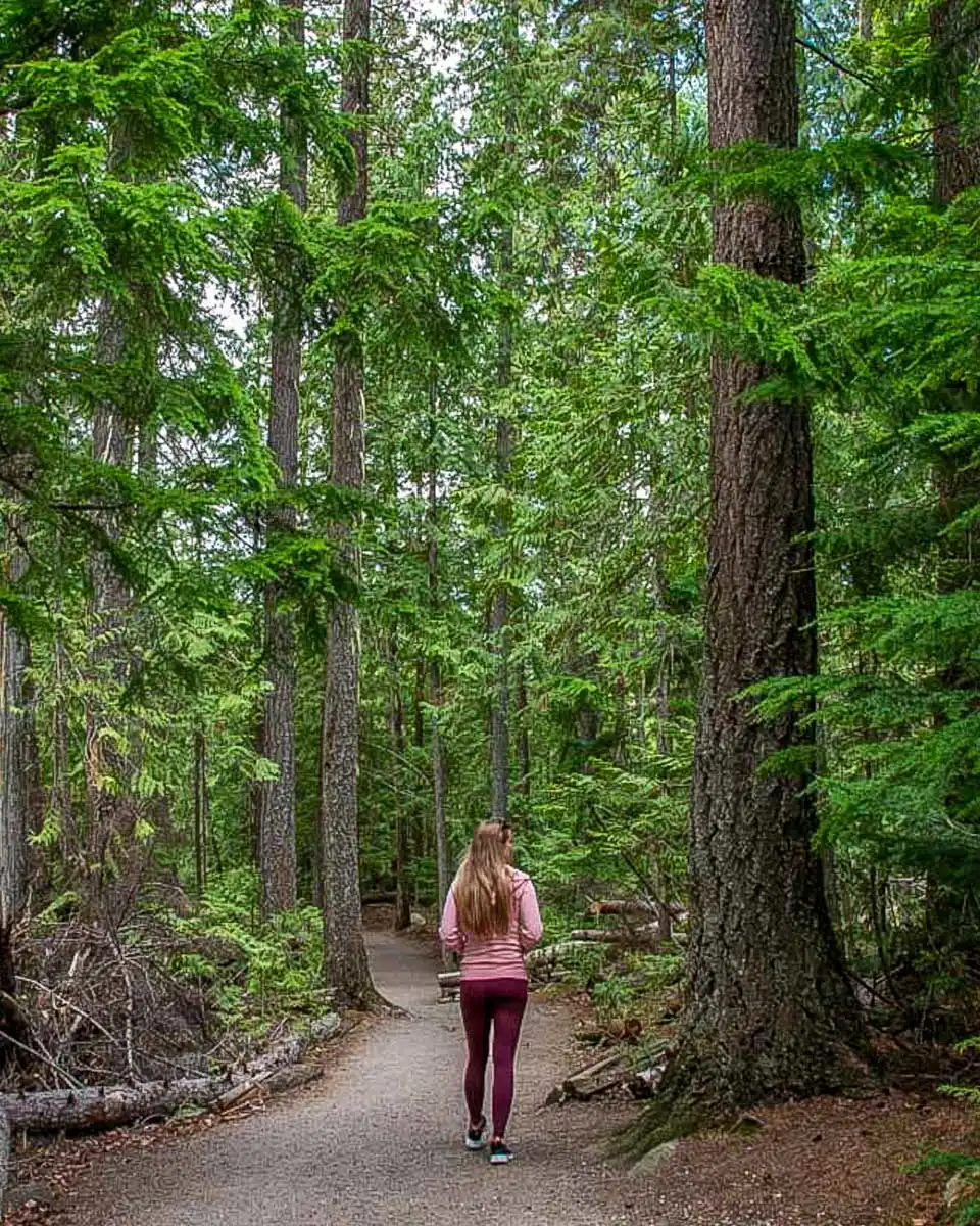 Bailey-hikes-through-the woods in remote Banff Canada