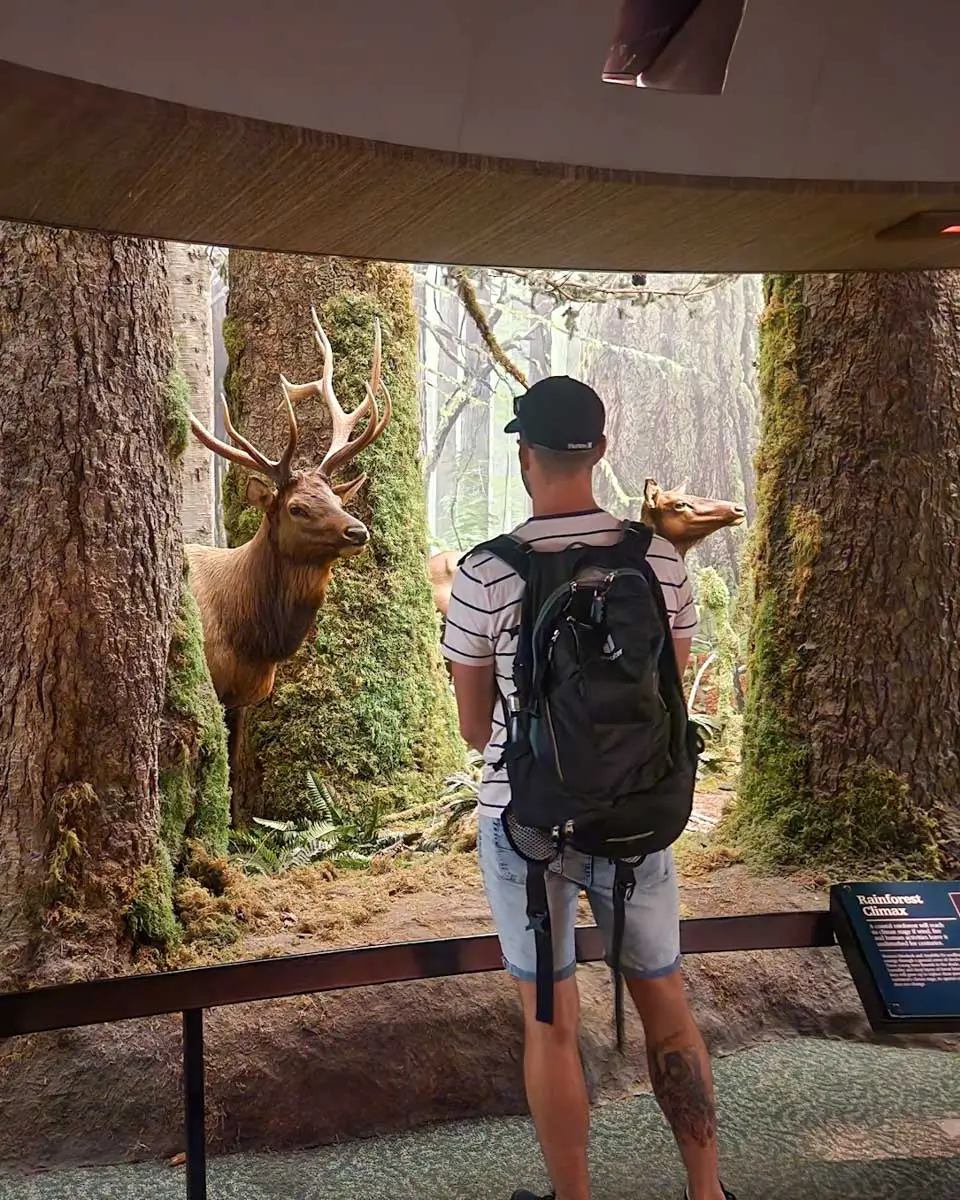 Daniel looking at an exhibit at Royal BC Museum in Victoria BC