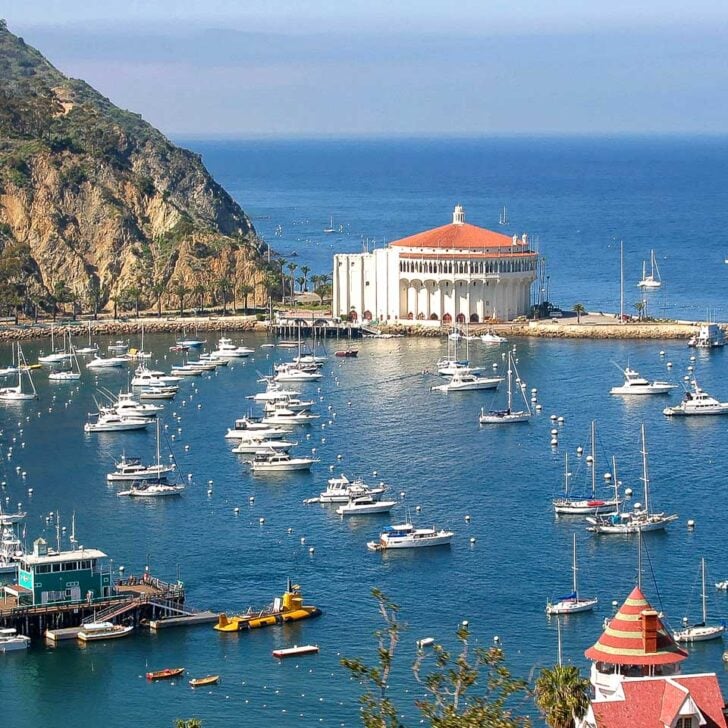 The view of Avalon and the bay on a tour on Catalina Island California