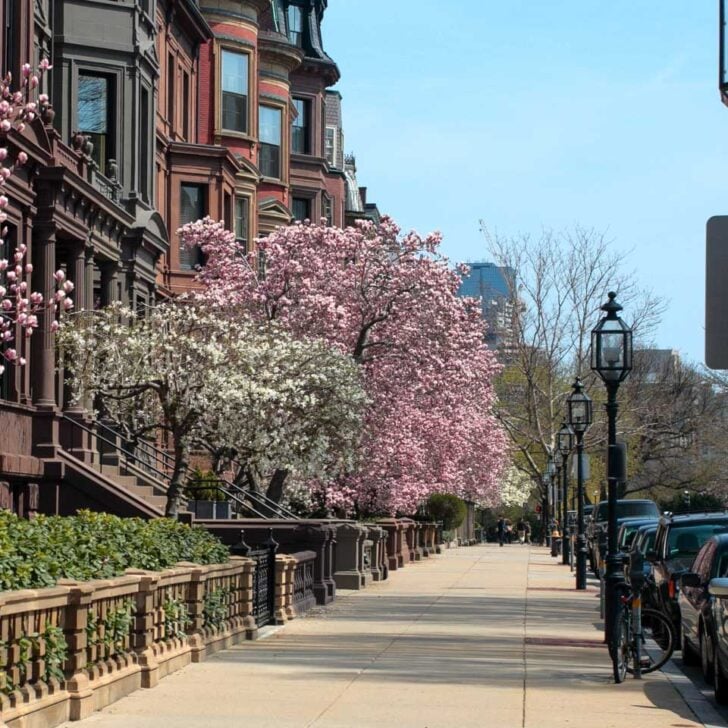 A street in Back Bay Boston Massachusetts