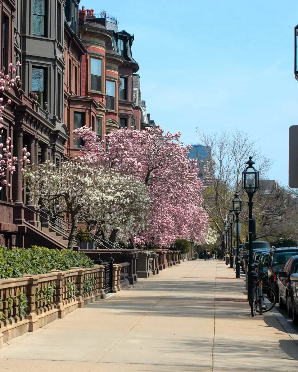 A street in Back Bay Boston Massachusetts