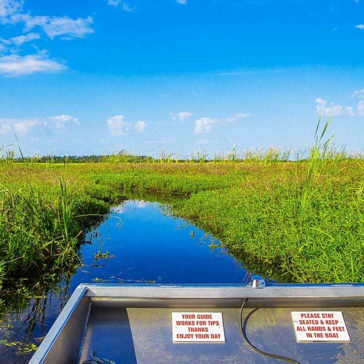 An-airboat-in-the-everglades-on-a-tour-from Miami Florida