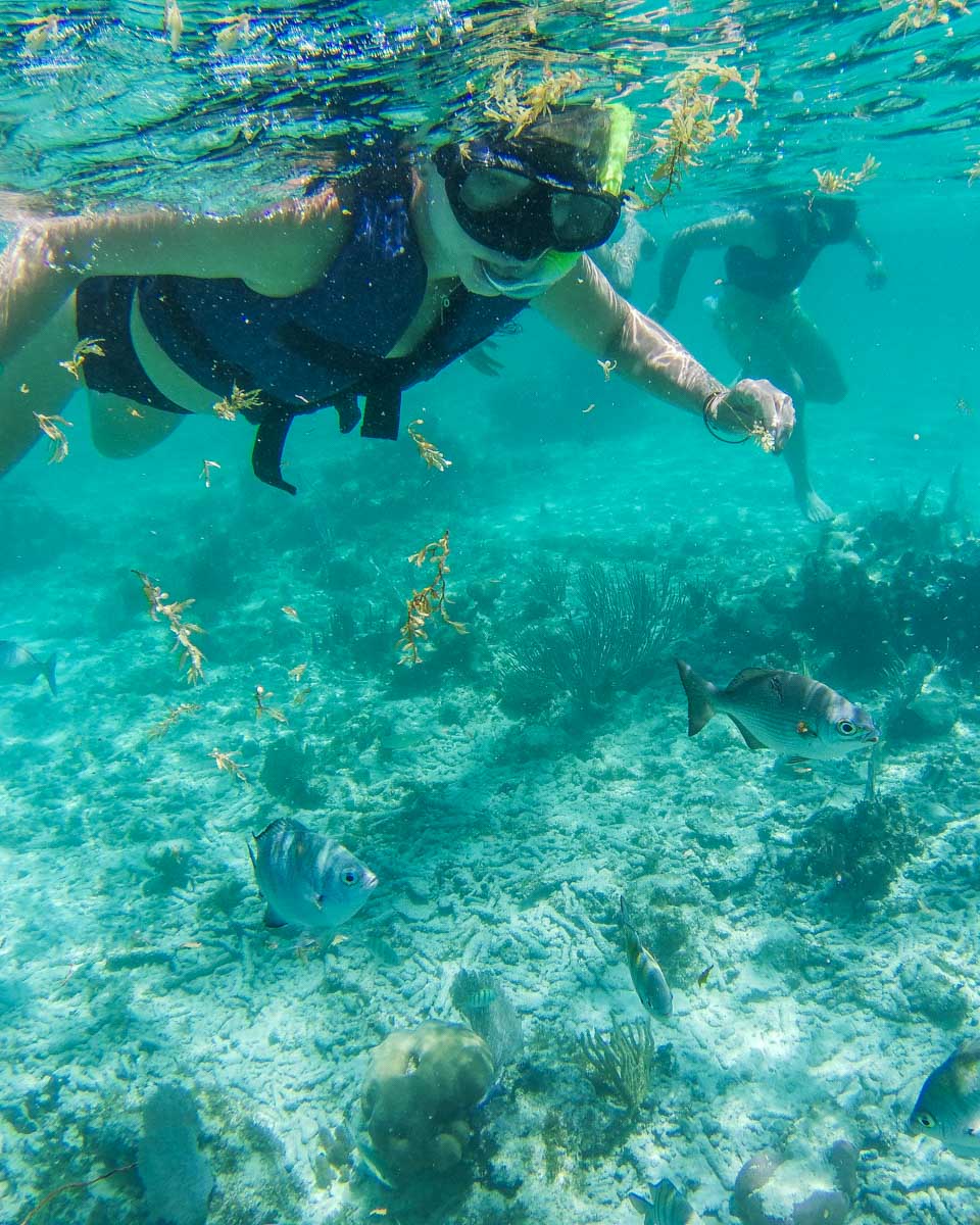 Bailey-snorkeling-on Catalina Island at Lover's Cove, California
