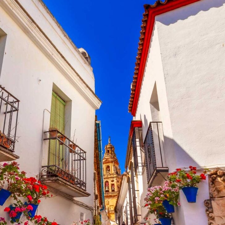 Flower Street Torre del Aliminar Tower Mezquita Cordoba Spain 1
