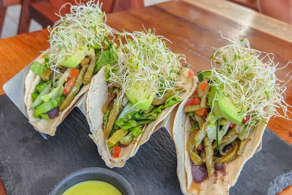 Some-vegan-tacos-from-Red-Iguana in Salt Lake City Utah
