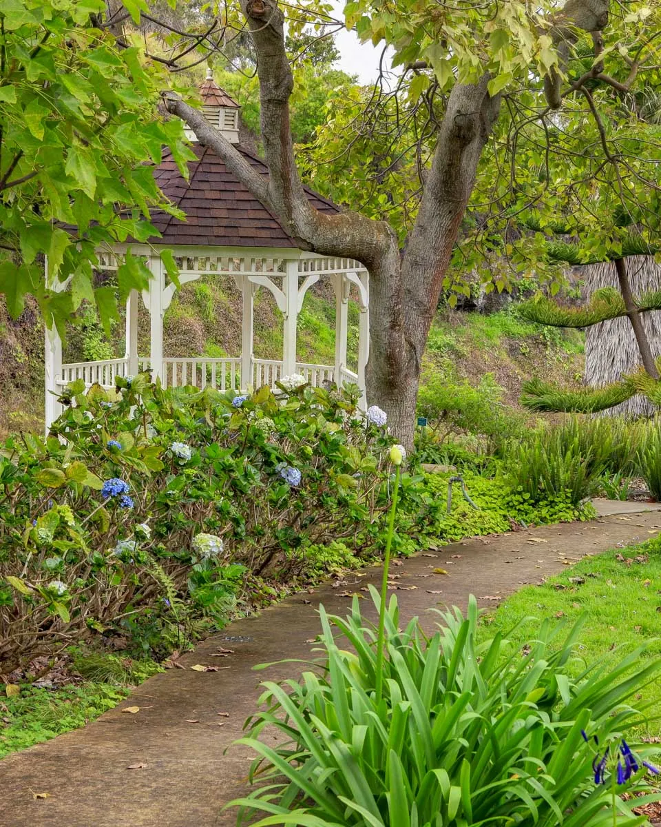 The Kula Botanical Garden on Maui Hawaii