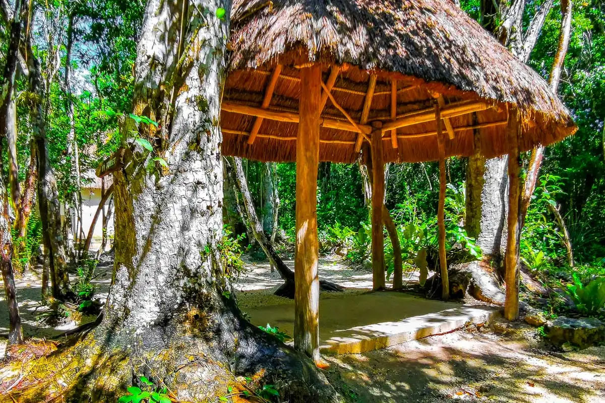 Holistika Area in Tulum Mexico
