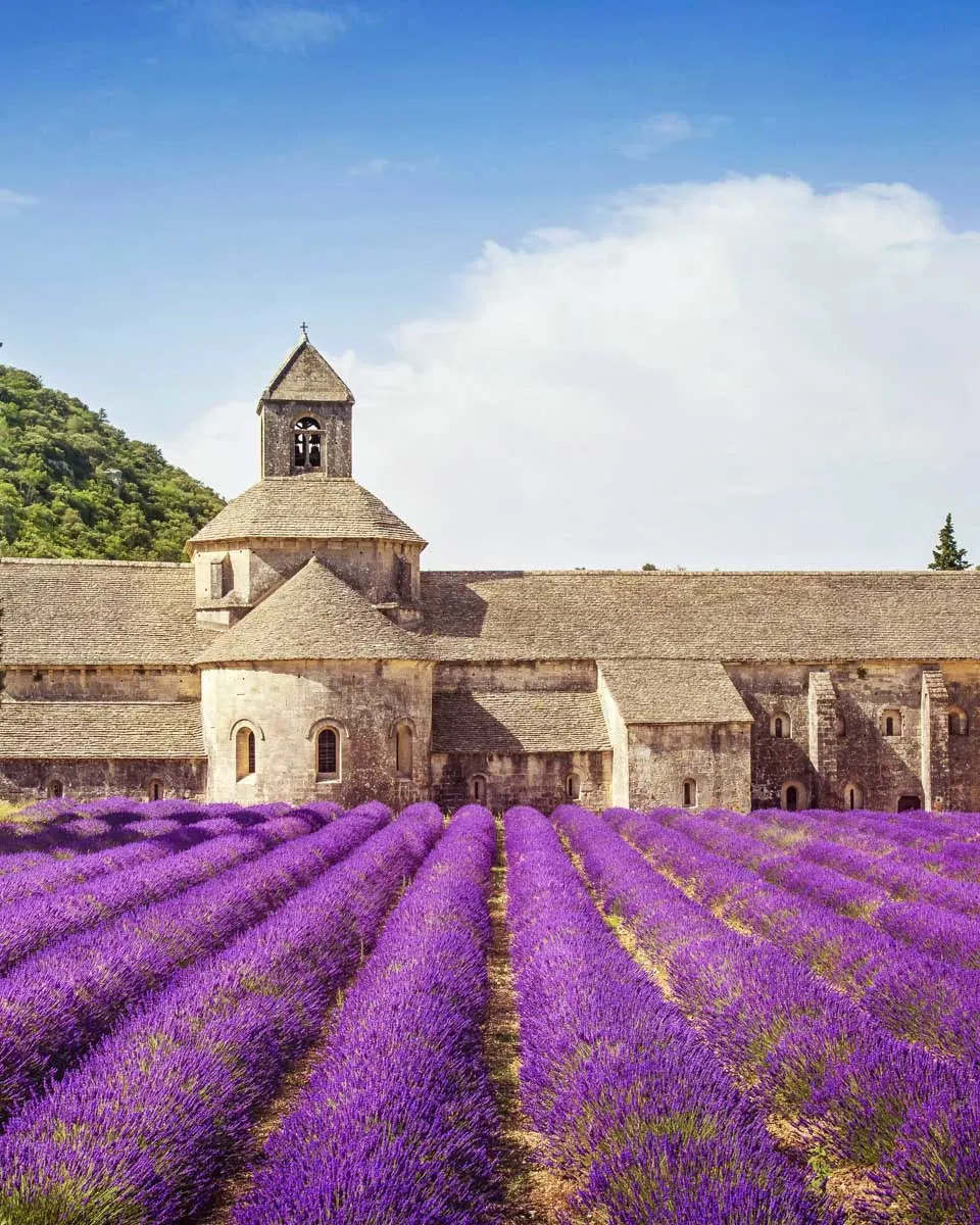 Sénanque Abbey seen on a tour in France