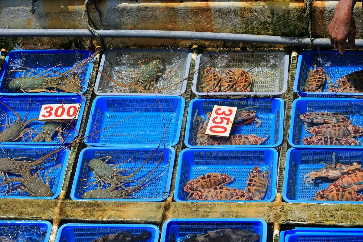 The Wan Chai Wet Market in Hong Kong (1)