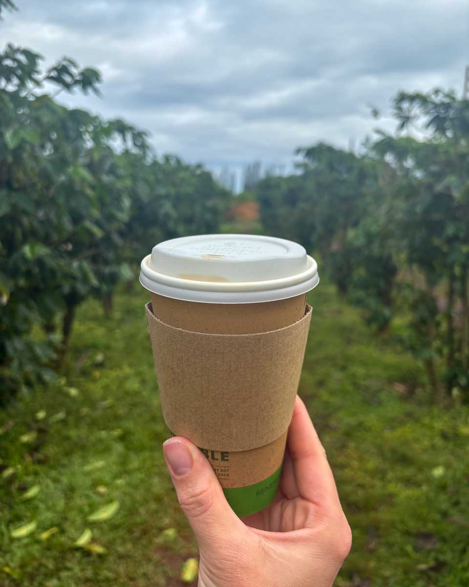Trelle-holds-coffee-on-a-coffee-farm-on-the-Big-Island-of-Hawaii