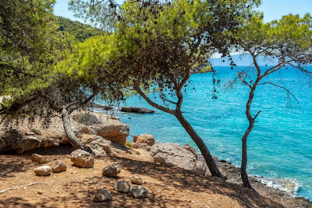 A beach seen on a cruise to the Agistri, Moni, and Aegina islands in Greece