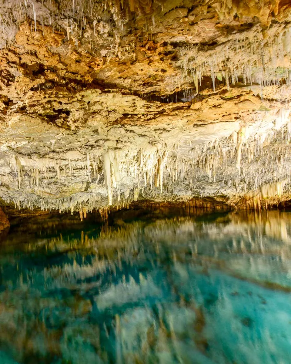 An underwater cave seen and swam in in a tour in Bermuda
