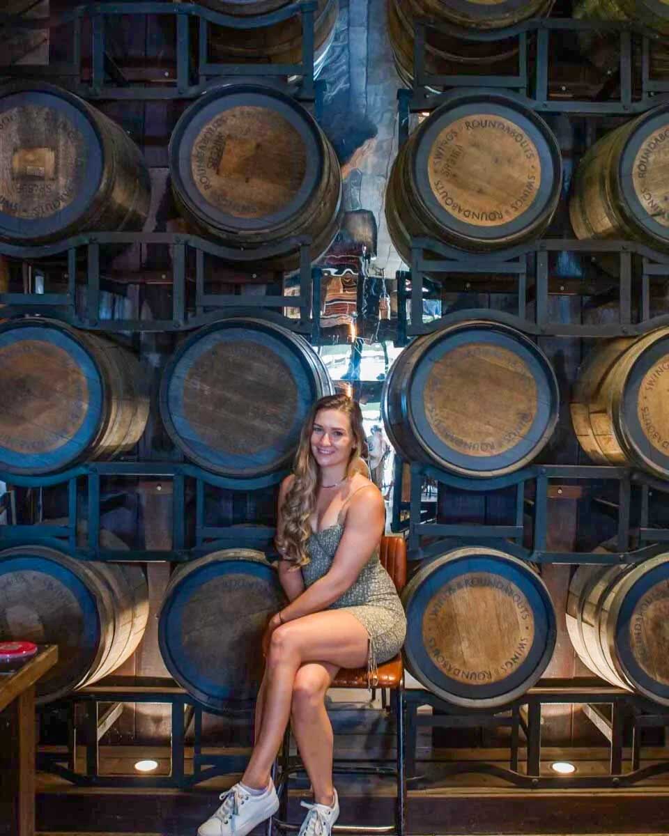 Bailey-at-a-winery-on-a-tour-in-Spain