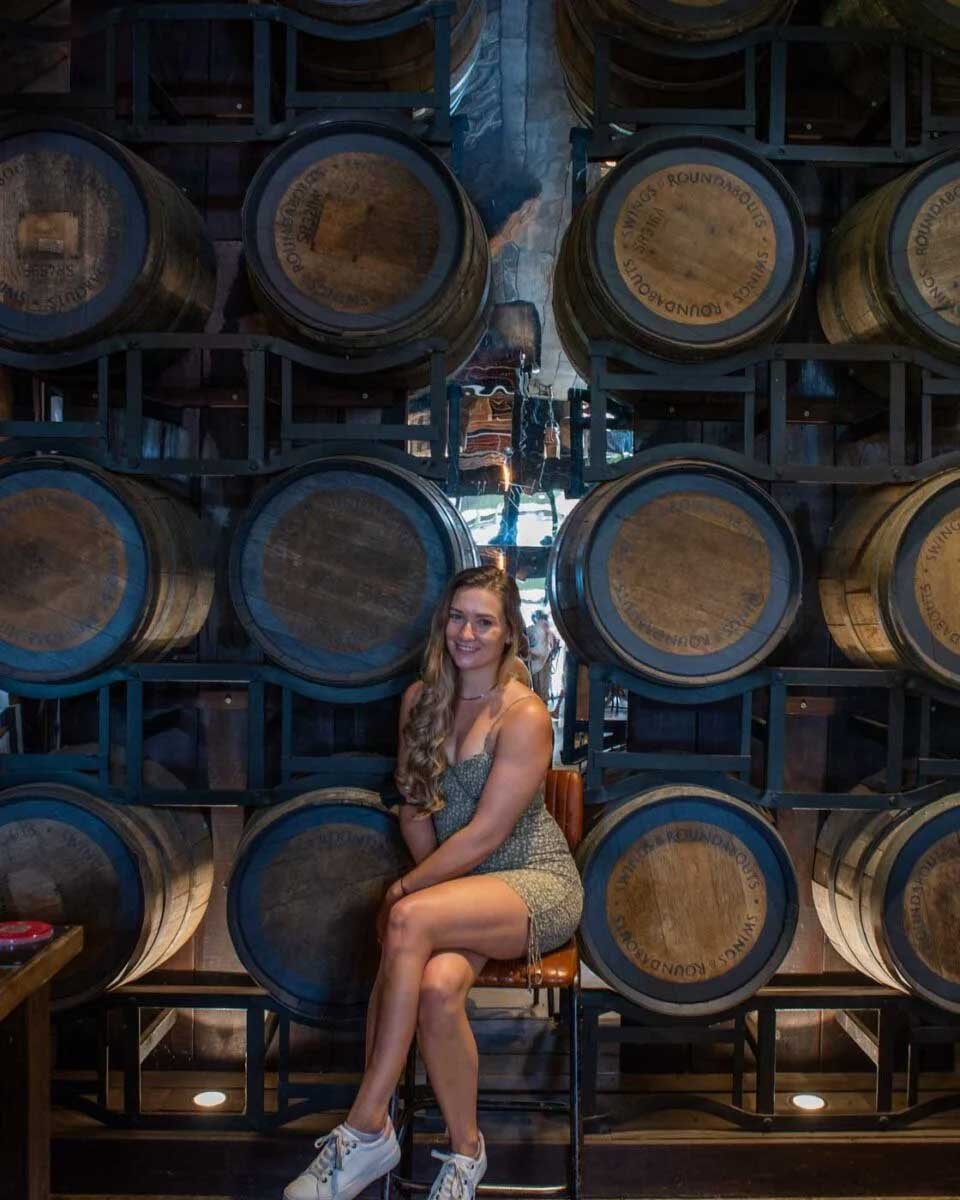 Bailey-at-a-winery-on-a-tour-in Spain (1)