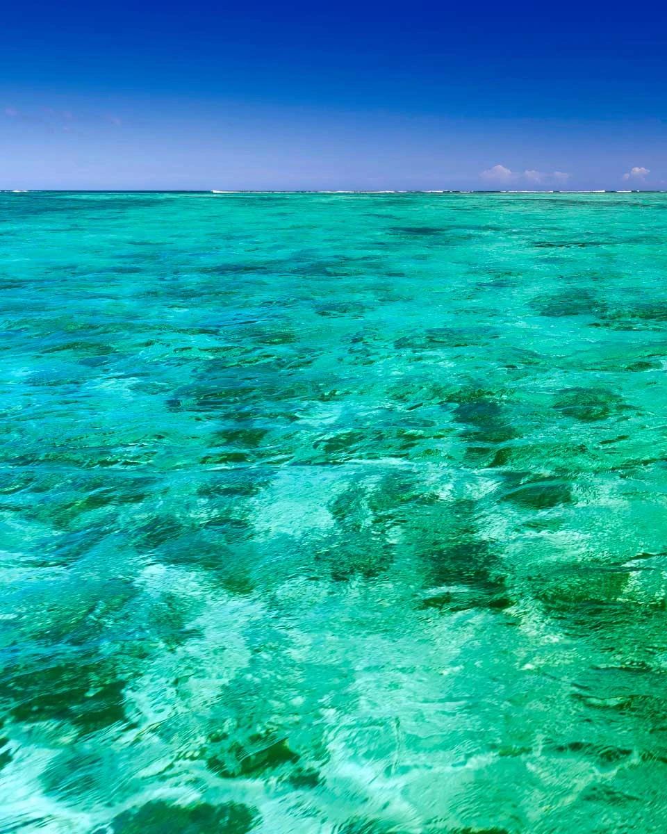 Clear water in Bermuda seen on a kayaking tour