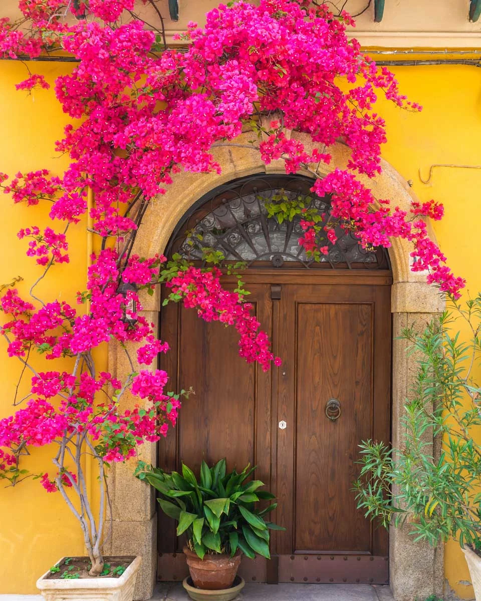 Exterior of a house with pink flowers around the door in Miramar San Juan