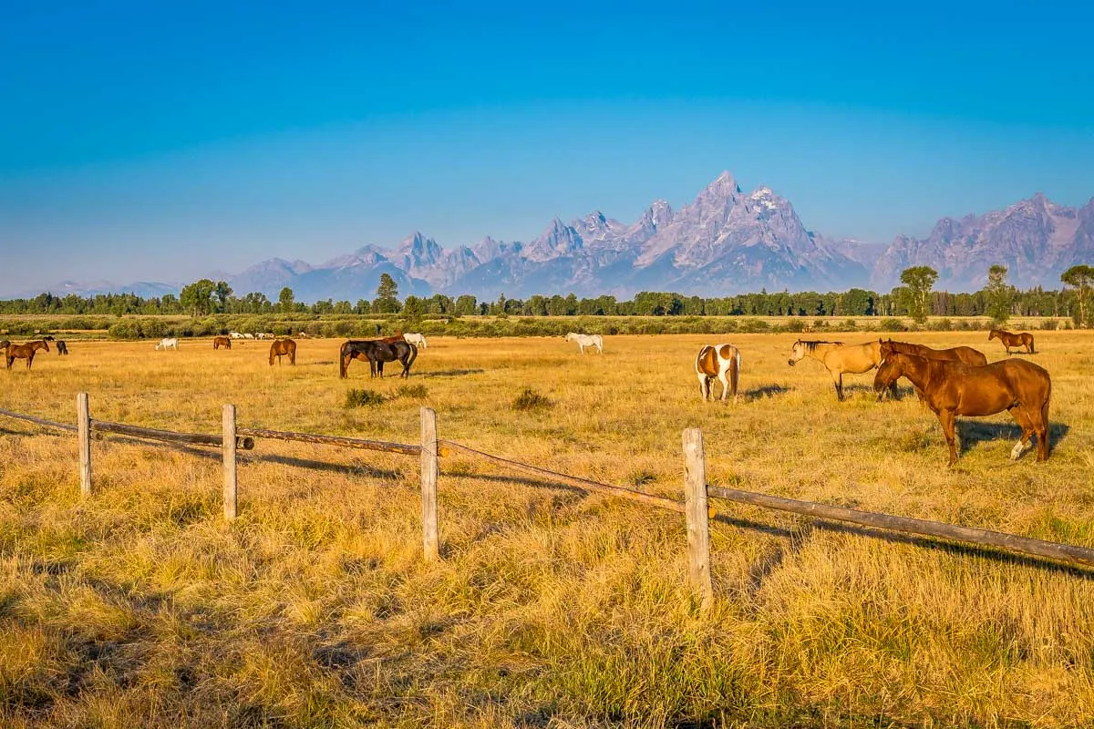 How to Spend THREE DAYS in Jackson Hole, Wyoming: The Best 3-Day Itinerary