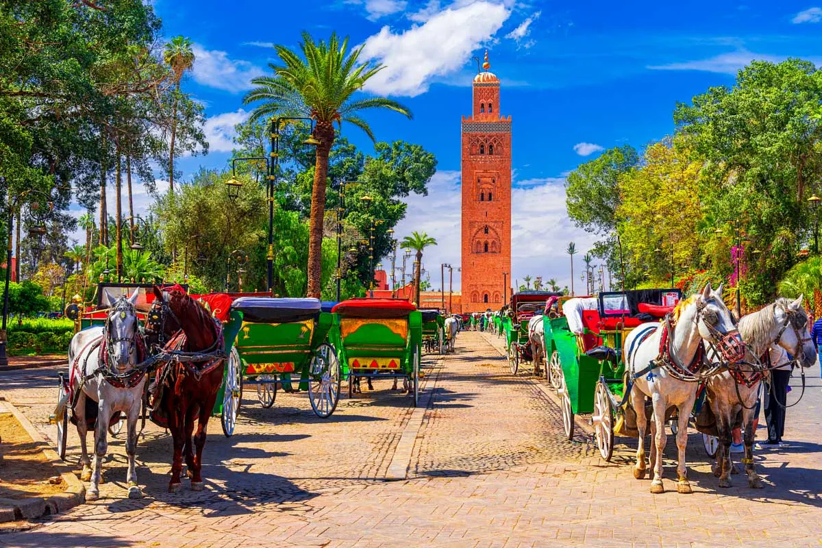 Where to Stay in Marrakech, Morocco: 7 Areas & Hotels
